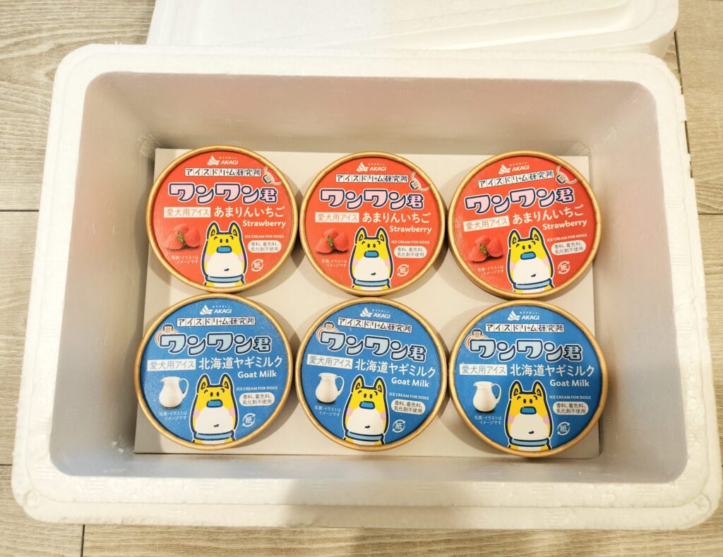ワンワン君　届いた時中身